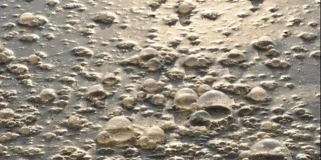 污水厂内的生物气溶胶,污水从业人员必读- 污水厂内的生物气溶胶,污水从业人员必读-