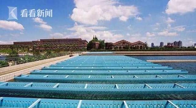 夏季用水高峰来临 18家水厂单日供水将超650万吨- 夏季用水高峰来临 18家水厂单日供水将超650万吨-