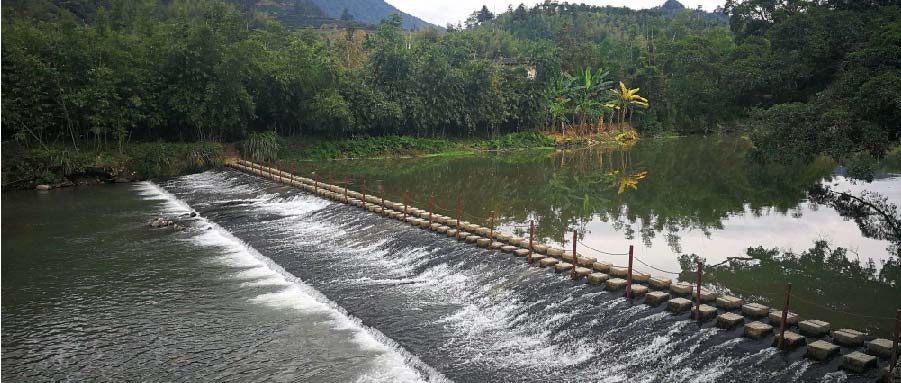 һˮľ֮áԳ󱣻һߵĹ۲